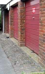 Photograph of some of the garages in the Willow Gardens.
